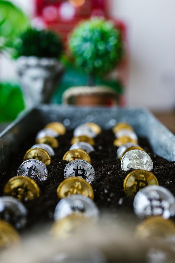 journey Conceptual image of Bitcoin coins planted in soil, representing cryptocurrency investment growth.